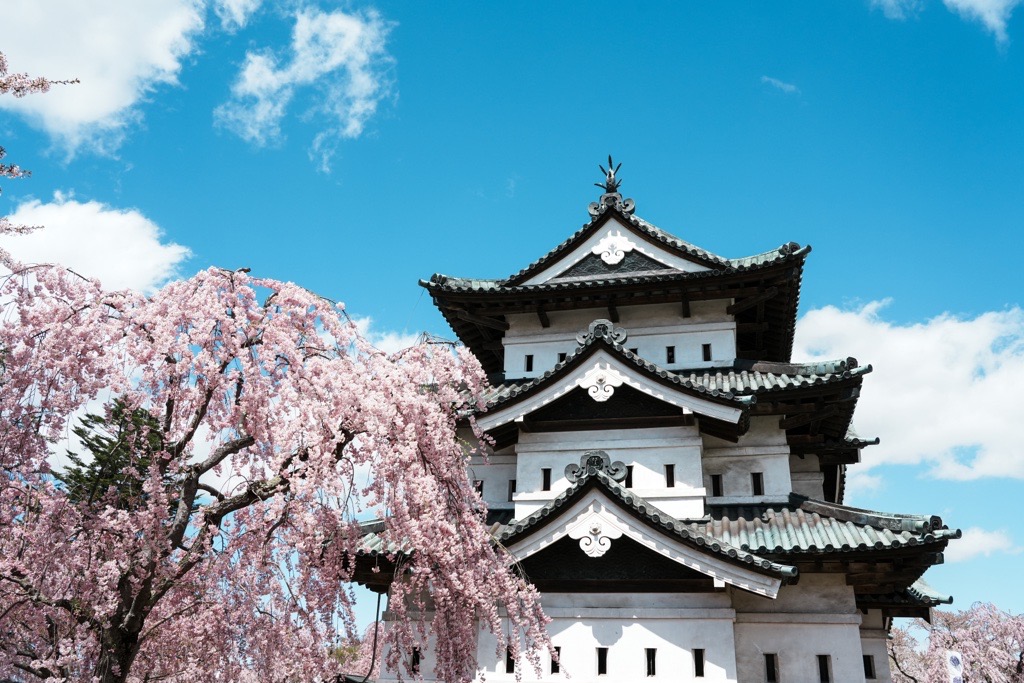 桜祭り弘前城