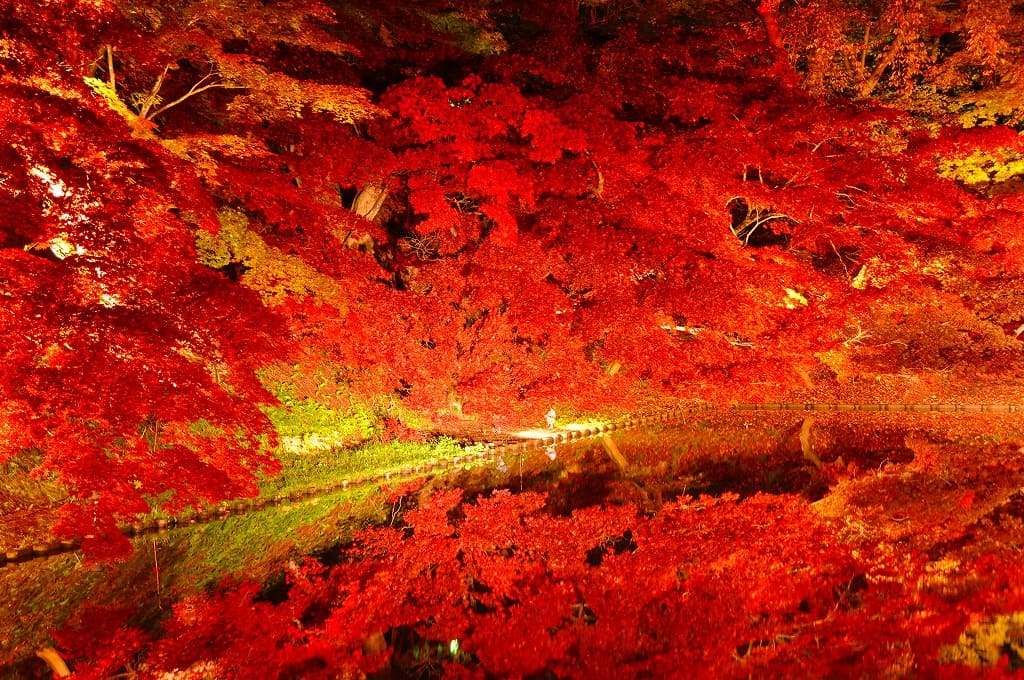 弘前菊と紅葉まつり