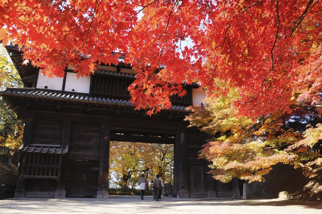 弘前城菊と紅葉まつり